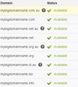 Photo of domain registration scren